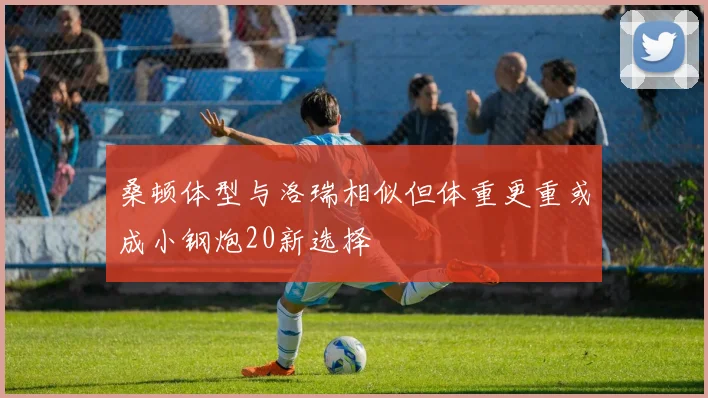 桑顿体型与洛瑞相似但体重更重或成小钢炮20新选择