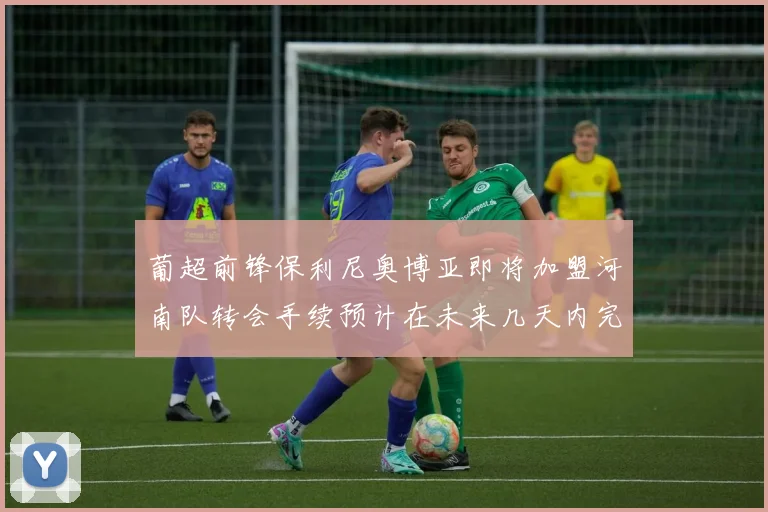 葡超前锋保利尼奥博亚即将加盟河南队转会手续预计在未来几天内完成